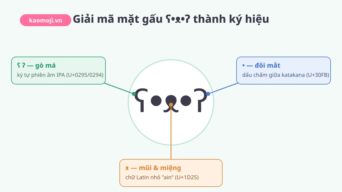 Giải mã mặt gấu ʕ•ᴥ•ʔ thành ký hiệu: gò má, mũi, đôi mắt và tên Unicode